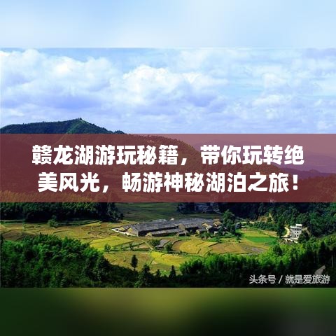 博古通今