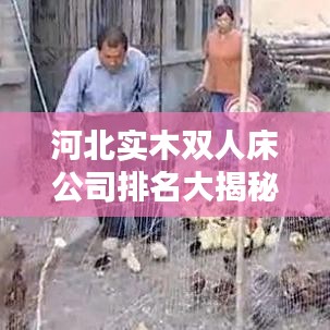 河北实木双人床公司排名大揭秘，权威榜单，选购指南！