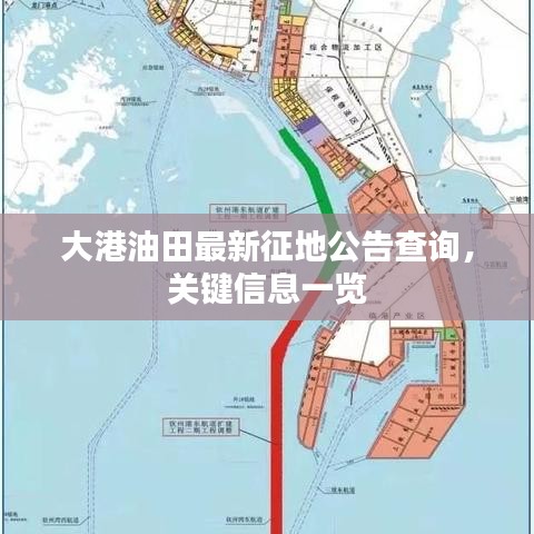大港油田最新征地公告查询，关键信息一览