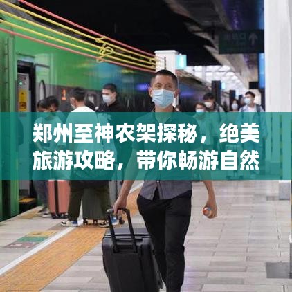 郑州至神农架探秘，绝美旅游攻略，带你畅游自然秘境！