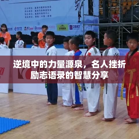 逆境中的力量源泉，名人挫折励志语录的智慧分享
