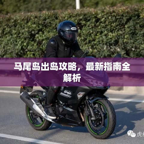 马尾岛出岛攻略，最新指南全解析