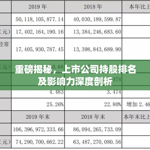 重磅揭秘，上市公司持股排名及影响力深度剖析