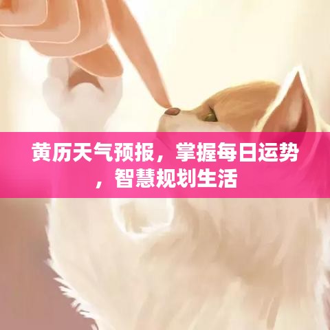 黄历天气预报，掌握每日运势，智慧规划生活