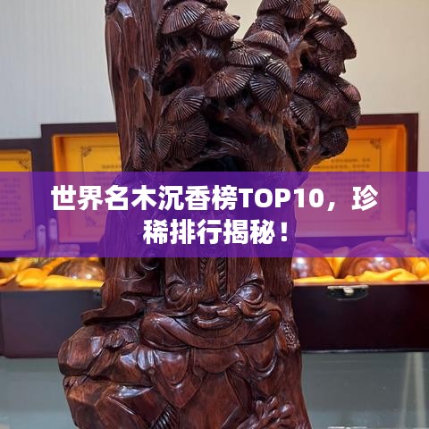 公司简介 第10页