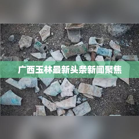 广西玉林最新头条新闻聚焦
