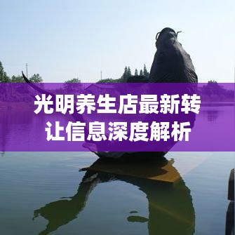飞鸟依人