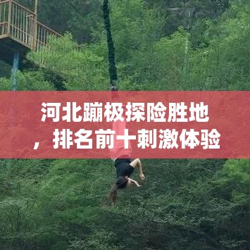 小家碧玉