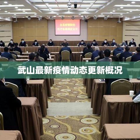 武山最新疫情动态更新概况