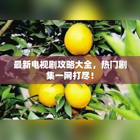 学而不厌