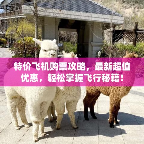 铁石心肠