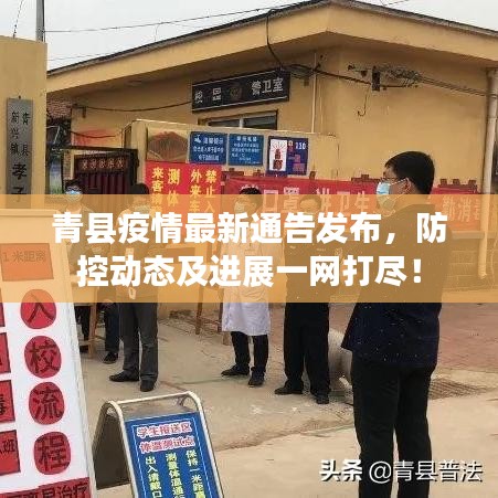 青县疫情最新通告发布，防控动态及进展一网打尽！