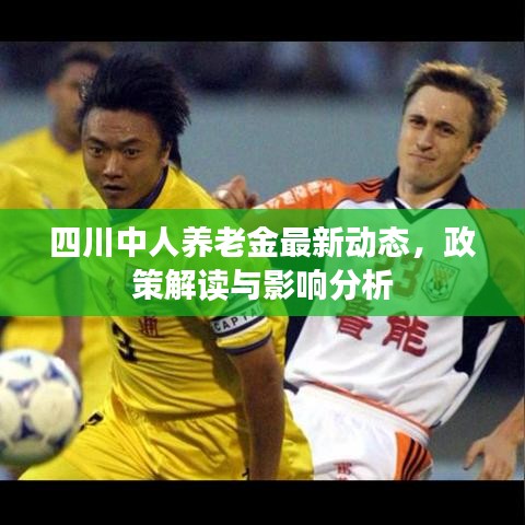 四川中人养老金最新动态，政策解读与影响分析