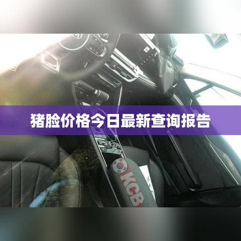 猪脸价格今日最新查询报告