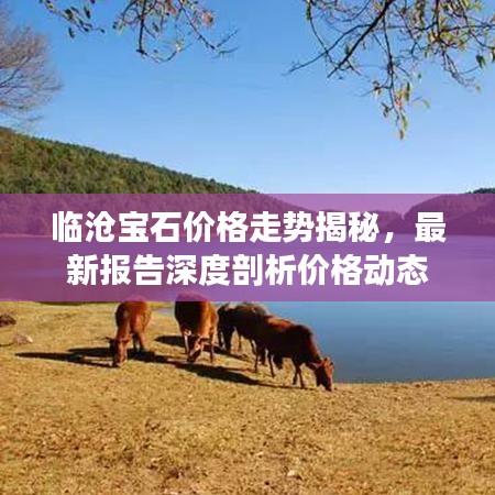 临沧宝石价格走势揭秘，最新报告深度剖析价格动态