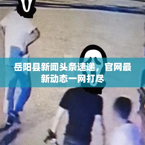 合作伙伴 第8页