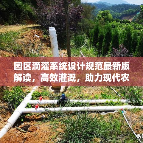 园区滴灌系统设计规范最新版解读，高效灌溉，助力现代农业发展