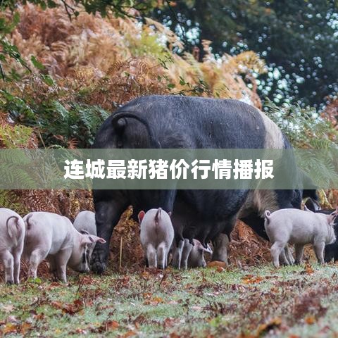 公司简介 第6页