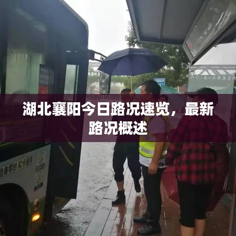 湖北襄阳今日路况速览，最新路况概述