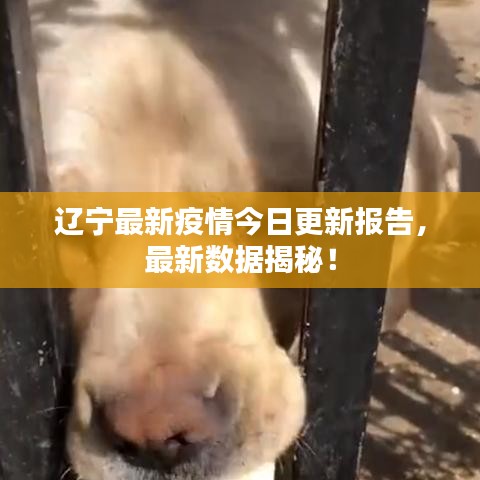 箪瓢陋室