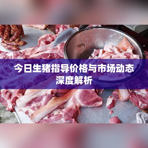 今日生猪指导价格与市场动态深度解析