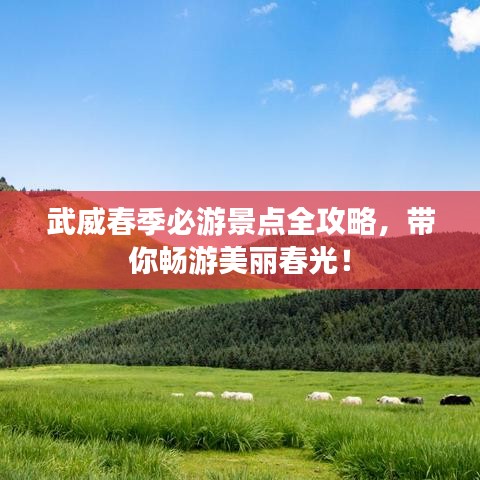 窗明几净