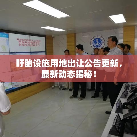 笨鸟先飞