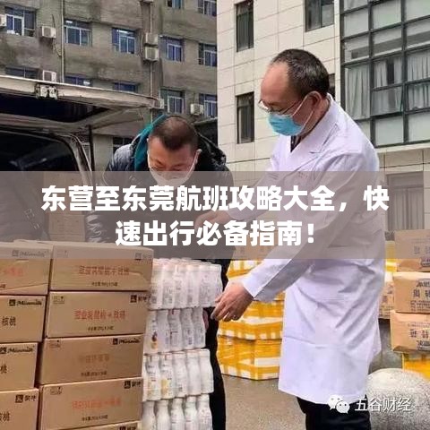 东营至东莞航班攻略大全，快速出行必备指南！
