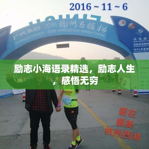 明夷于飞