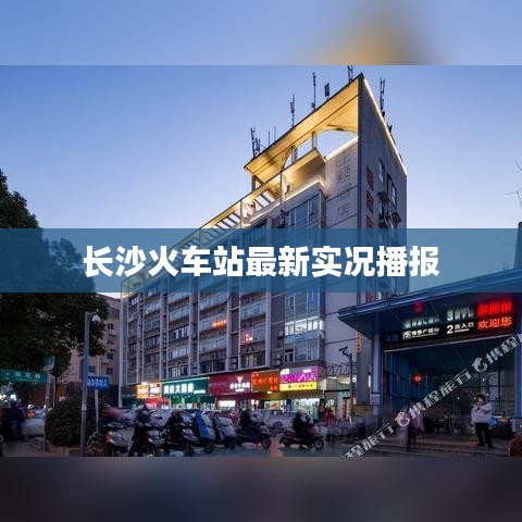 一毫不苟