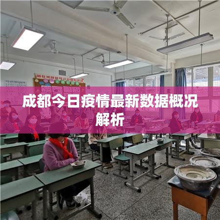 成都今日疫情最新数据概况解析