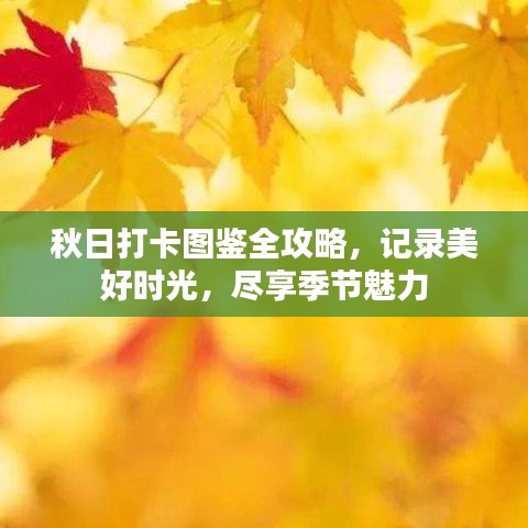 秋日打卡图鉴全攻略，记录美好时光，尽享季节魅力