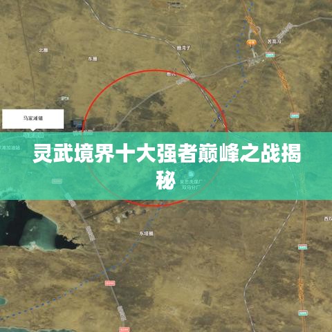悬驼就石