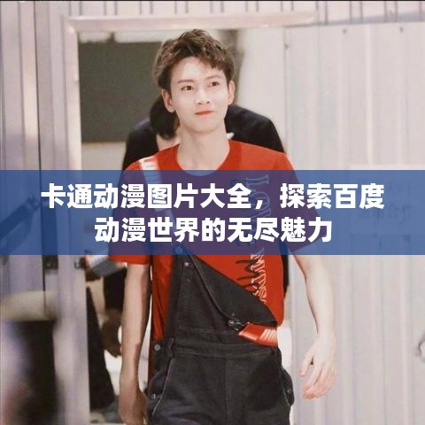 卡通动漫图片大全，探索百度动漫世界的无尽魅力