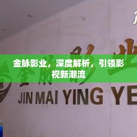 金脉影业，深度解析，引领影视新潮流