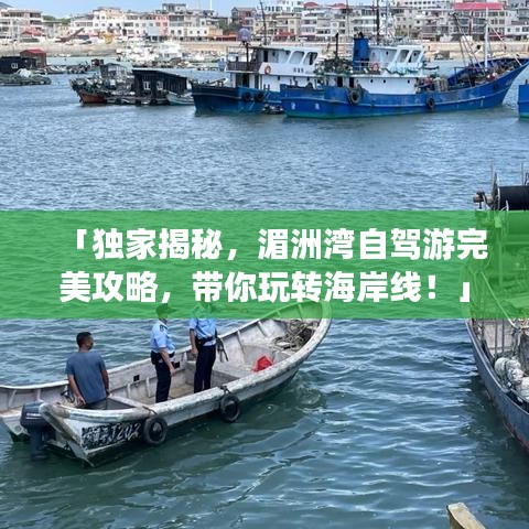 草创未就