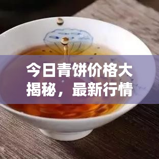 今日青饼价格大揭秘，最新行情动态一网打尽！