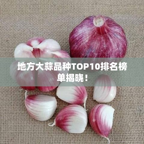 无拘无束