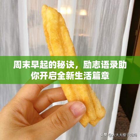 周末早起的秘诀，励志语录助你开启全新生活篇章