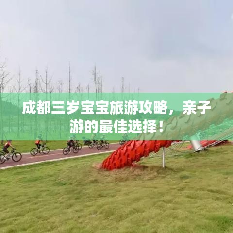 开张圣听