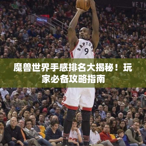 魔兽世界手感排名大揭秘！玩家必备攻略指南