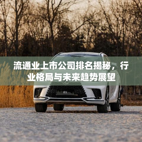流通业上市公司排名揭秘，行业格局与未来趋势展望