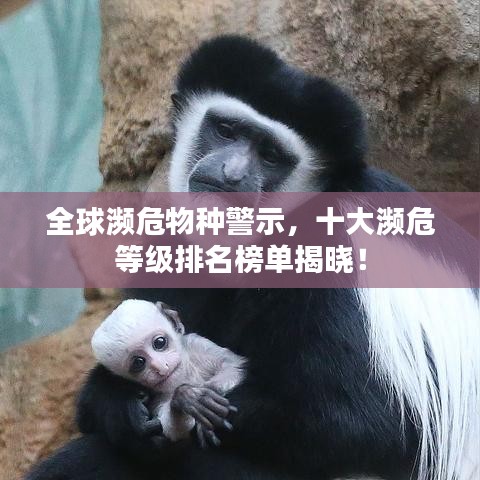 持之以恒