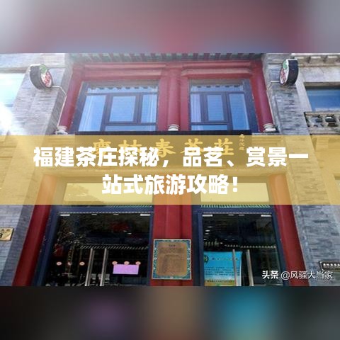 生张熟魏