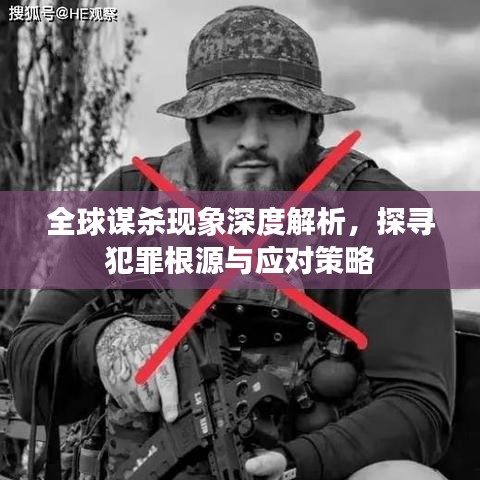 全球谋杀现象深度解析，探寻犯罪根源与应对策略