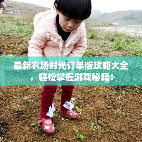 最新农场时光订单版攻略大全，轻松掌握游戏秘籍！