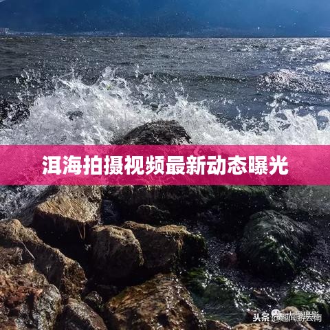 洱海拍摄视频最新动态曝光