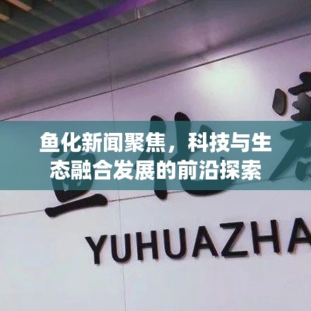 鱼化新闻聚焦，科技与生态融合发展的前沿探索