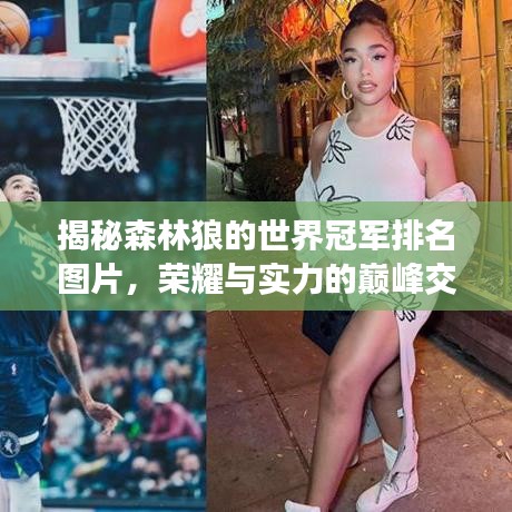 揭秘森林狼的世界冠军排名图片，荣耀与实力的巅峰交汇