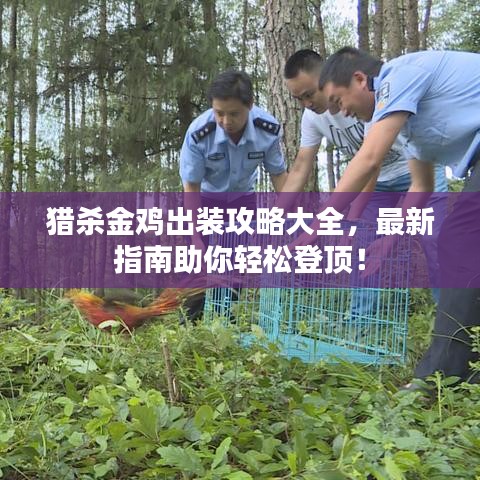 猎杀金鸡出装攻略大全，最新指南助你轻松登顶！